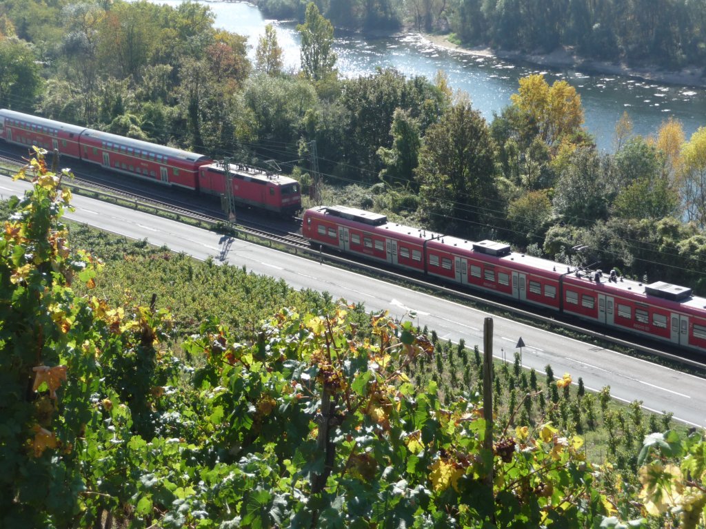 Treffen zweier Regionalzge im Rheintal, aus den Weinreben heraus fotografiert.