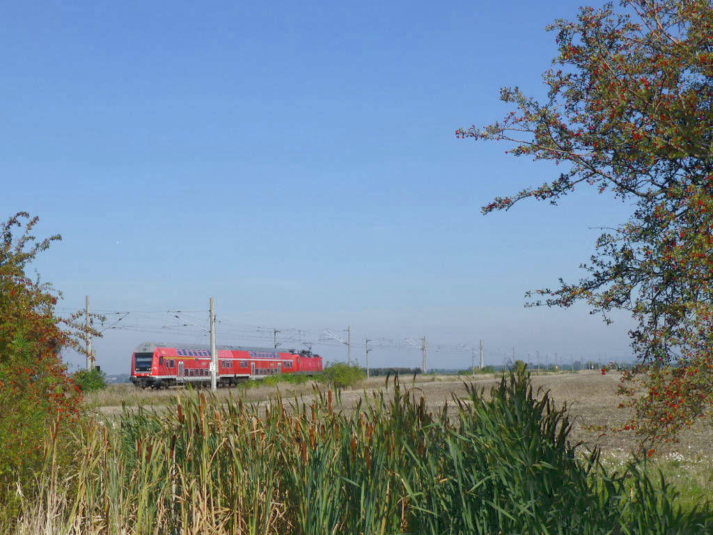 Ein Zug auf dem Land zwischen Stotternheim und Großrudestedt, ein reichlich angekatschter Dosto-Steuerwagen mit 143 821 am Zugschluss, 2.10.15