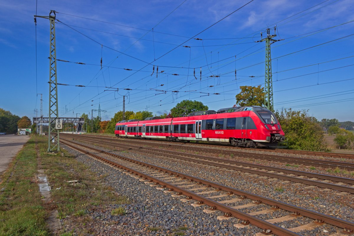 Eine RB22 mit dem Triebwagen 442 125 erreicht am 13.10.2020 den Bahnhof Saarmund.