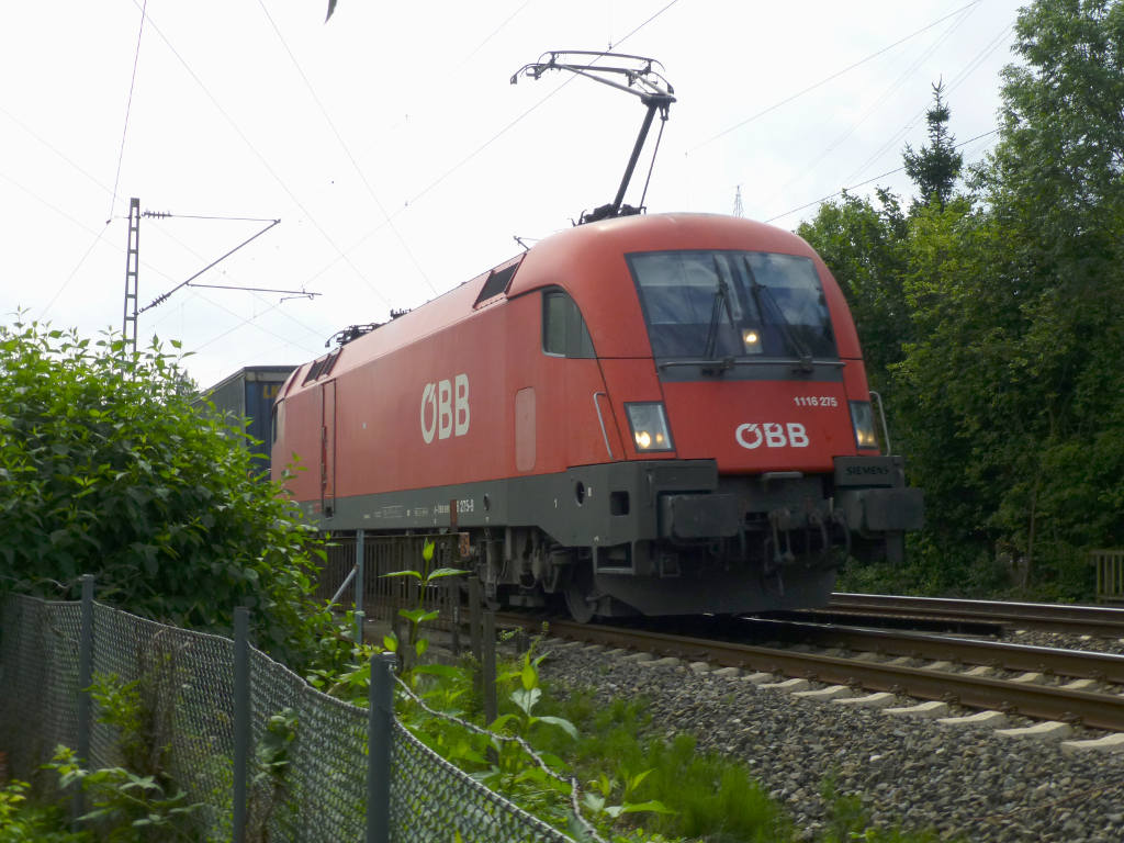 ÖBB-1116 275 am 14. August in Eller.