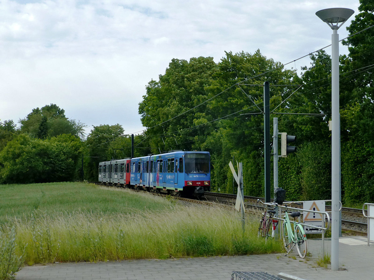 Rheinbahn-Zug am nördlichsten Haltepunkt der Landeshauptstadt: 4248 und 4266 am 7.6.19 bei der Einfahrt in Froschenteich.