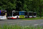 citaro-2/863131/vor-dem-betriebshof-bruenninghausen-befindet-sich Vor dem Betriebshof Brnninghausen befindet sich eine vom restlichen Straenverkehr abgetrennte Haltestelle, die lngere Haltezeiten etwa zum Personalwechsel ermglicht. Wagen 1412 steht dort am 10.05.14 hinter einem weiteren nur teilweise sichtbaren Bus auf der Linie 440.