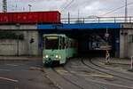 tatra-kt4d/871871/mehr-als-die-haelfte-des-fahrzeugparks Mehr als die Hlfte des Fahrzeugparks der Stadtverkehrsgesellschaft Frankfurt (Oder) besteht aus modernisierten Tatra KT4D. Am Nachmittag des 04.11.24 ist Wagen 219 kurz vor der Haltestelle Bahnhof unterwegs in Richtung Innenstadt.