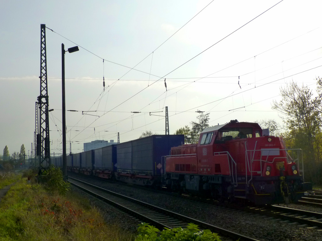 Der zweimal täglich verkehrende Güterzug zum Motorenwerk in Kölleda mit 261 065 als Zuglok im Gegenlicht, 26.10.15.