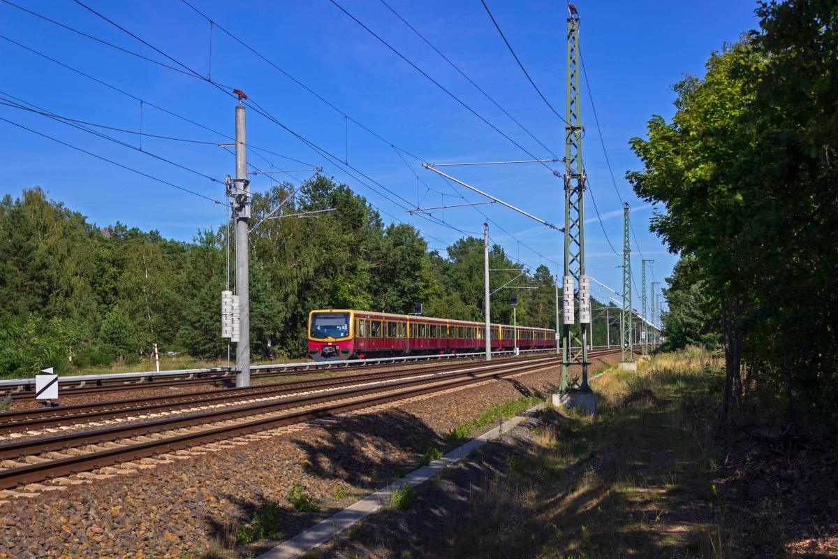 Ein Vollzug der Baureihe 481 fhrt auf der baustellenbedingt verkrzten Linie S3 in Richtung Ostbahnhof.