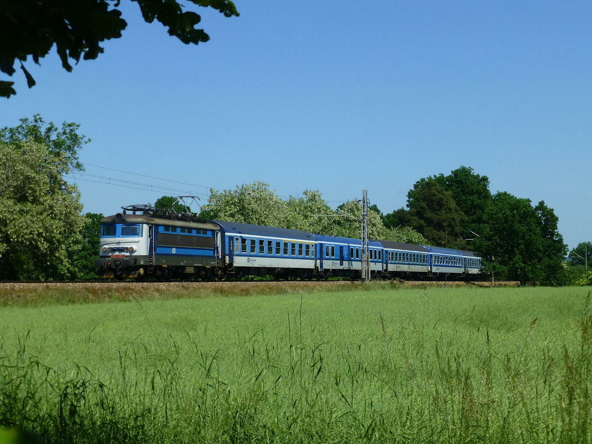 Schnellzug  Rožmberk  (Brno - Plzeň) Nr. 666 zwischen Ražice und Strakonice auf einem Feld bei  Sudoměř. Zuglok ist am 14. Juni 2021 Nummer 242 201.