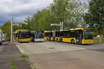 An der neu errichteten E-Bus-Ladestelle an der Michelangelostrae in Prenzlauer Berg haben sich am 28.08.2020 neben dem neuen Elektrobus 5420, der sich gerade nachldt, Wagen 4969 und der Leasingbus
