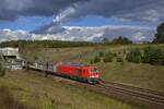 br-2249-vectron-dual-mode-light/924143/zweikraftlokomotiven-sind-praedestiniert-fuer-den-einsatz Zweikraftlokomotiven sind pr�destiniert f�r den Einsatz im G�terverkehr, speziell f�r die Bedienung von Anschl�ssen oder nicht elektrifizierten G�terbahnh�fen. Dementsprechend l�sen die Vectron DualMode-Lokomotiven der Baureihe 249 in diesen Diensten nach und nach �ltere Diesel-Rangierloks ab. Wie es sich geh�rt ist 249 033 hier auf der Hauptstrecke in Richtung Berlin im Elektromodus unterwegs.