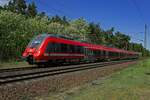 Auf der Linie RB22 zwischen Knigs Wusterhausen und Potsdam zog am 21.05.25 unter anderem 442 334 seine Runden, hier kurz vor dem Halt in Ludwigsfelde-Struveshof.
