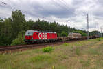 Mittlerweile setzen die Österreichischen Bundesbahnen eine große Anzahl Vectron-Lokomotiven ein, die als Baureihe 1293 geführt werden.