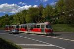 tatra-t3/853151/die-huegel-auf-beiden-seiten-der Die Hgel auf beiden Seiten der Moldau werden von teils sehr steilen Straen erklommen. Auf der Chotkova schlngelt sich auch die Straenbahn mithilfe einer Serpentine aus dem Tal. Der noch fast neue Wagen 8294 rollt gemeinsam mit Wagen 8184 diese Strae herunter, auf der das Fotografieren durch Autoverkehr und Touristen am Straenrand zum Glcksspiel wird.