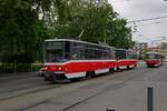 tatra-t6a5/901928/ausser-den-direkt-nach-brno-gelieferten Auer den direkt nach Brno gelieferten T6A5 hat der DPMB zahlreiche Triebwagen aus Prag angekauft, die sich optisch kaum von den Ur-Brnner Triebwagen unterscheiden. Da die Prager Triebwagen allerdings eine Hochspannungsleitung im E-Teil der Kupplung besitzen, fahren diese Fahrzeuge nur mit einem angelegten Stromabnehmer, whrend bei den Brnner T6 wie die T3 nur die Steuerleitungen gekuppelt werden. TW 1235 und 1236 auf der Linie 3 am 24.04.24.
