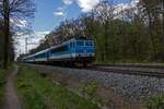 Die roten Metallnummernschilder an den Fahrzeugfronten waren fr�her ein Erkennungszeichen von tschechischen Lokomotiven. Auf den ersten Blick scheint es so, als h�tte 162 012 ihre Schilder auch im modernen Najbrt-Design behalten, die rote Fl�che ist  ...